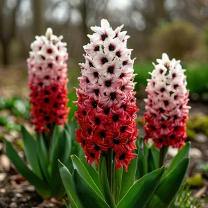 Гиацинт Скай Гарден купить по цене от 2099р. в интернет-магазине «Посадика» с доставкой почтой в в Вуктыле и по всей России – [изображение №1].